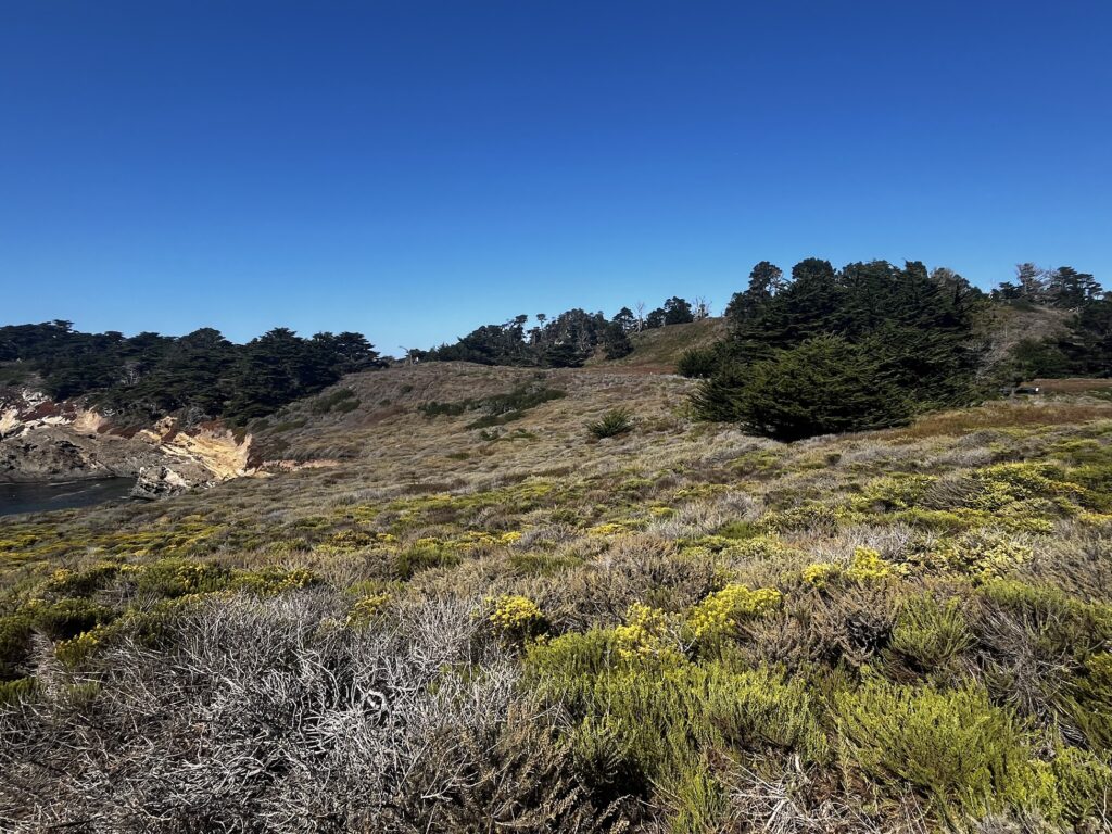 Self-Care Techniques that work wonders