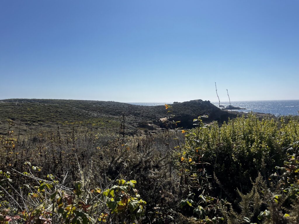 How to Navigate Workplace Challenges in the Most Effective Way