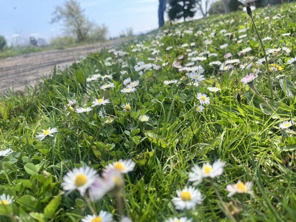 Unlocking Daily Happiness: 9 Easy Self-Care Practices For A More Joyful You