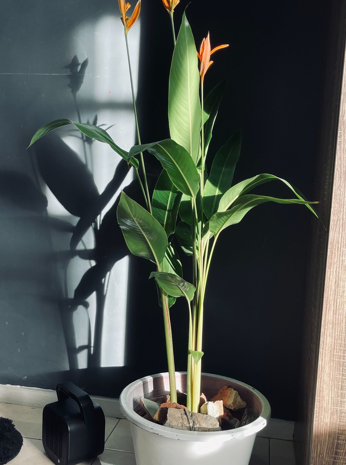 Engaging Hobbies to Help with Anxiety