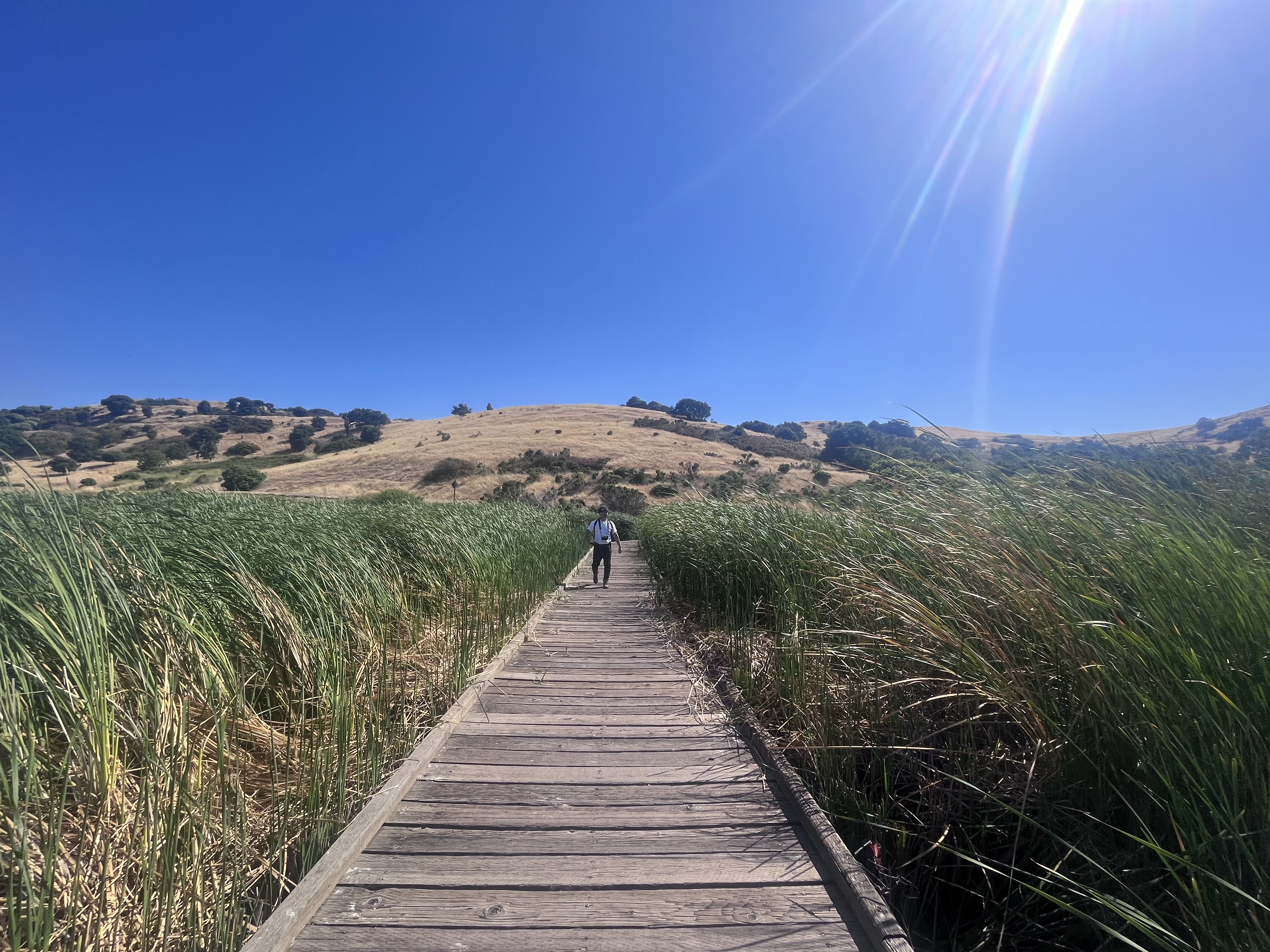 self-care tips for mental health